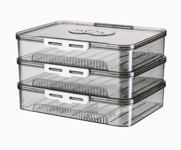Transparent Dumpling Storage Box